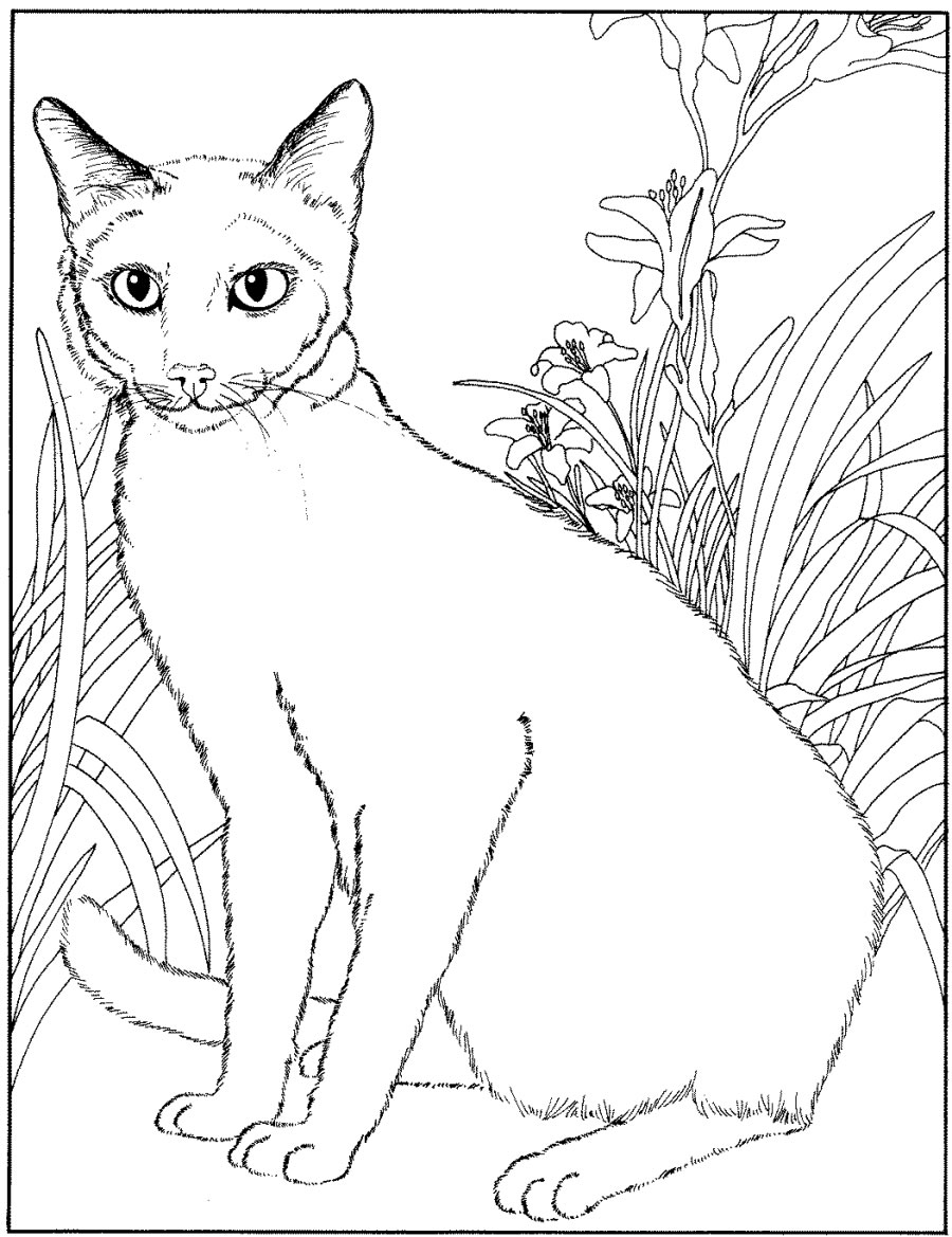 Cat Coloring Pages For Adults - Part 6